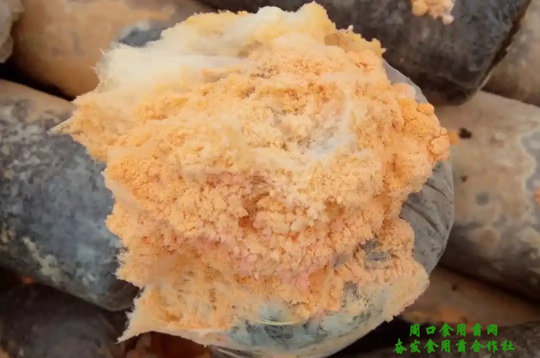 1759147863883019.jpg src=http___image109.360doc.com_DownloadImg_2018_07_2122_139135254_1_20180721100009785&refer=http___image109.360doc_副本.jpg